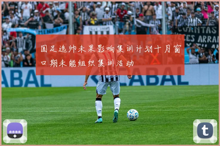 国足选帅未果影响集训计划十月窗口期未能组织集训活动